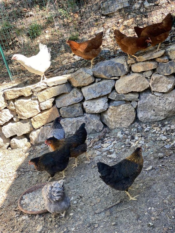 La Bastide Du Beausset-vieux Bed & Breakfast *